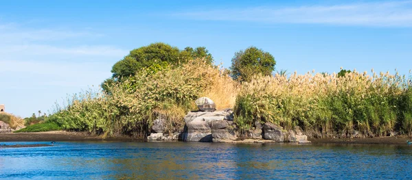 Naturaleza del río Nilo en Egipto — Foto de Stock