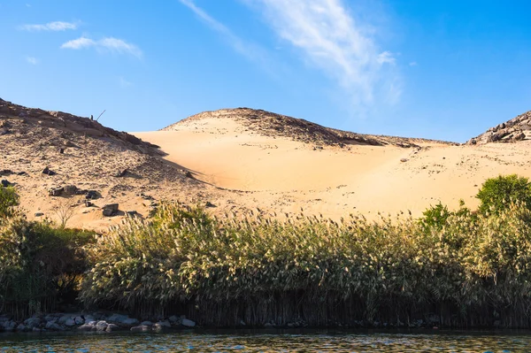 Povaha řeky Nilu v Egyptě — Stock fotografie