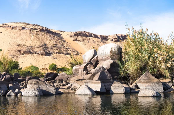 Aard van de rivier de Nijl in Egypte — Stockfoto