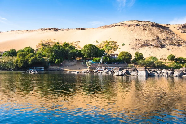 在埃及尼罗河的性质 — 图库照片