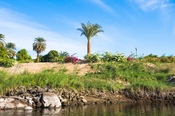 Doğa Mısır Nil Nehri'nin — Stok fotoğraf