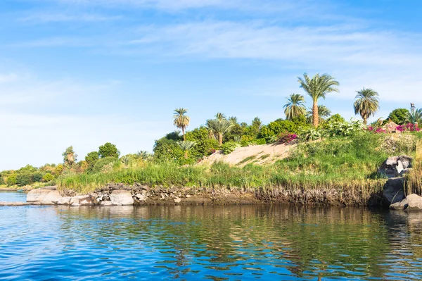 Natura del fiume Nilo in Egitto — Foto Stock