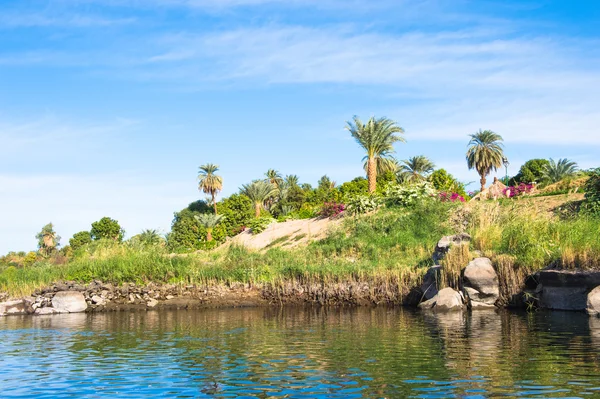 Natura del fiume Nilo in Egitto — Foto Stock