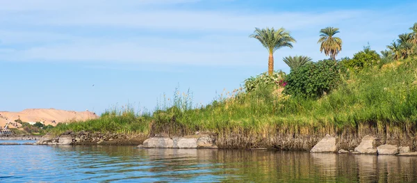 Nature of the river Nile in Egypt — Stock Photo, Image