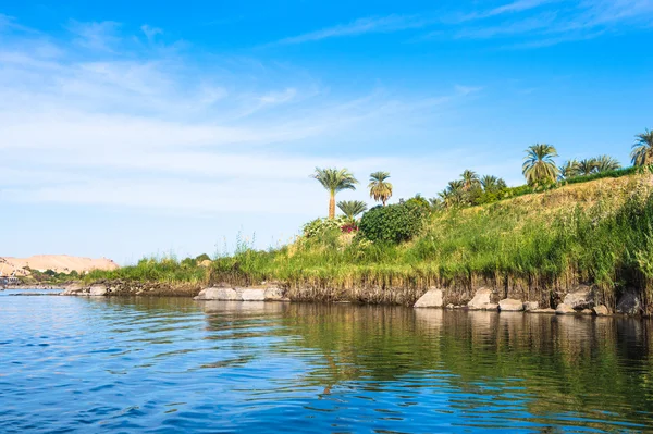 Natura del fiume Nilo in Egitto — Foto Stock