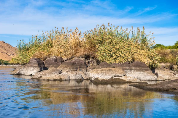 Naturaleza del río Nilo en Egipto — Foto de Stock