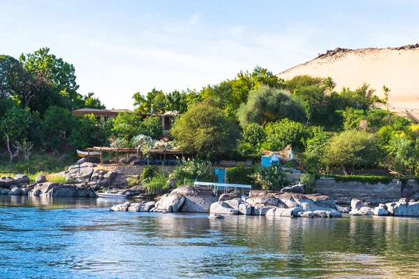 Nature of the river Nile in Egypt — Stock Photo, Image