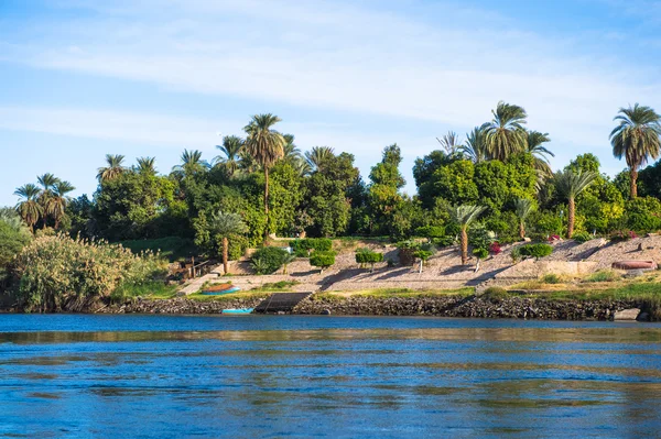 Nature of the river Nile in Egypt — Stock Photo, Image