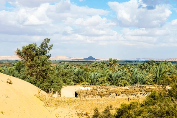 The Bahariya Oasis in Egypt — Stock Photo, Image