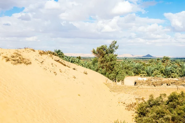 The Bahariya Oasis in Egypt — Stock Photo, Image