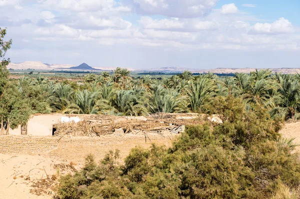 Die Bahariya-Oase in Ägypten — Stockfoto