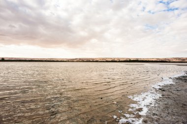 Mısır'daki Bahariya Oasis