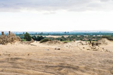 Mısır'daki Bahariya Oasis