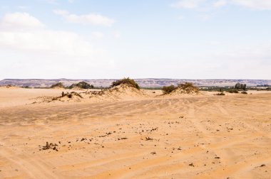 Mısır'daki Bahariya Oasis