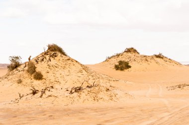 Mısır'daki Bahariya Oasis