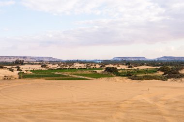 Mısır'daki Bahariya Oasis