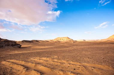Mısır'daki Bahariya Oasis