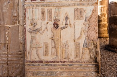 Dakhla Oasis, Batı Çölü, Mısır