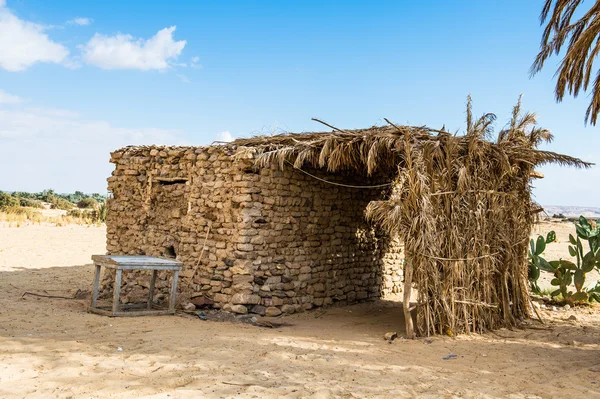 The Bahariya Oasis in Egypt — Stock Photo, Image