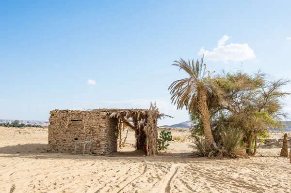 De Bahariya oase in Egypte — Stockfoto