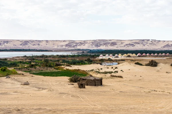 이집트에 Bahariya 오아시스 — 스톡 사진