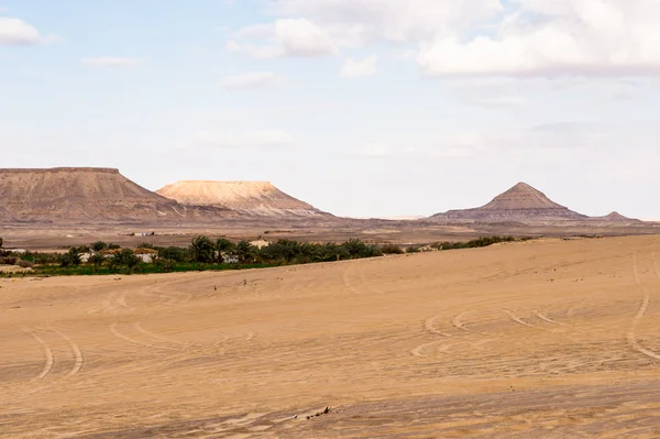 The Bahariya Oasis in Egypt — Stock Photo, Image