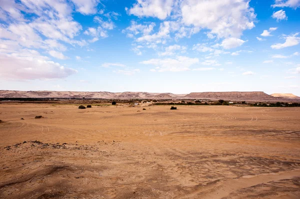 Mısır'daki Bahariya Oasis — Stok fotoğraf