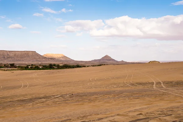 Mısır'daki Bahariya Oasis — Stok fotoğraf