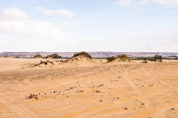 Mısır'daki Bahariya Oasis — Stok fotoğraf