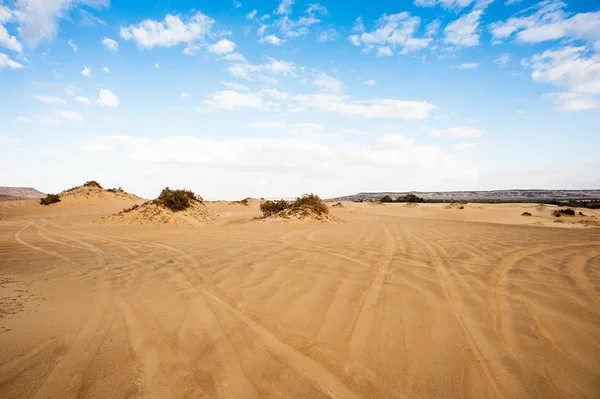 The Bahariya Oasis in Egypt — Stock Photo, Image