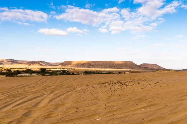 Mısır'daki Bahariya Oasis — Stok fotoğraf