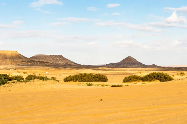 El oasis de Bahariya en Egipto — Foto de Stock