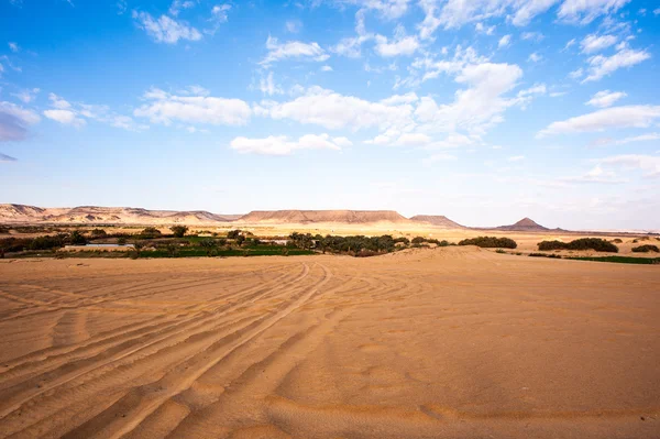 The Bahariya Oasis in Egypt — Stock Photo, Image