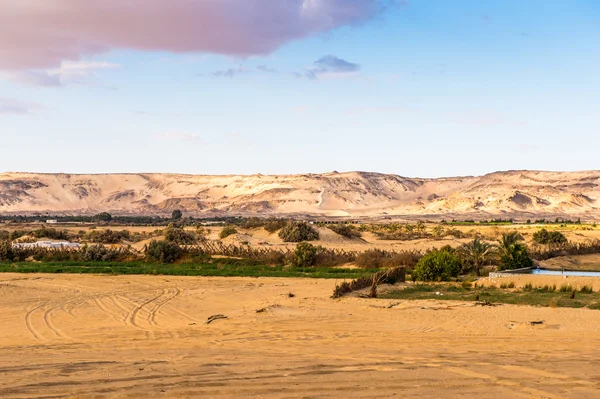 The Bahariya Oasis in Egypt — Stock Photo, Image