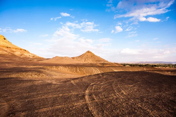 Mısır'daki Bahariya Oasis — Stok fotoğraf