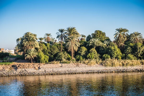 在埃及尼罗河畔的落日 — 图库照片