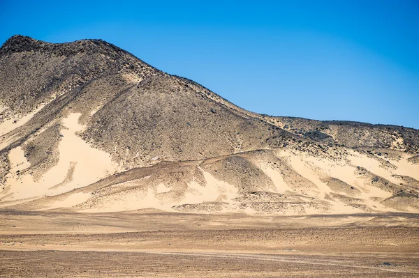 Campiña negra del desierto y formaciones de basalto —  Fotos de Stock