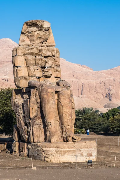 Coloso de Memnon, estatua de piedra masiva del faraón Amenhotep III, Luxor, Egipto — Foto de Stock