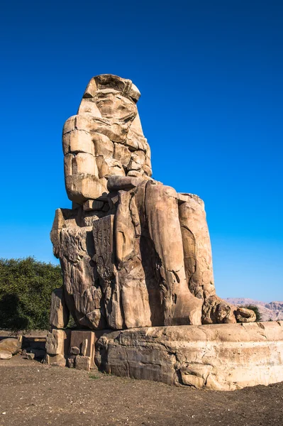 Colosso di Memnone, massiccia statua in pietra del faraone Amenhotep III, Luxor, Egitto — Foto Stock