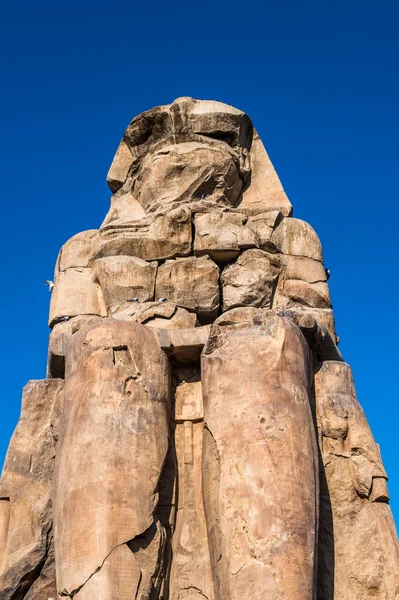 Colosso di Memnone, massiccia statua in pietra del faraone Amenhotep III, Luxor, Egitto — Foto Stock