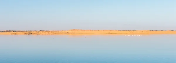 Deserto no Egito — Fotografia de Stock