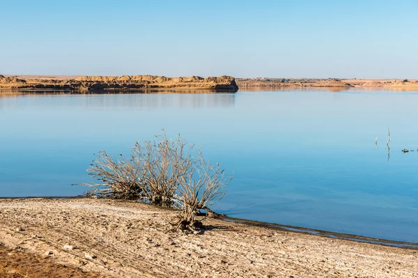 Deserto no Egito — Fotografia de Stock