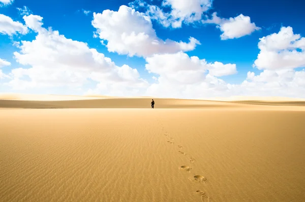 Öken i Egypten — Stockfoto