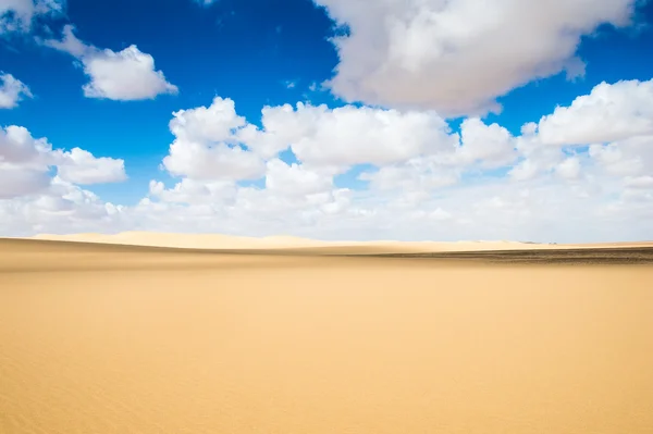 Desert in Egypt — Stock Photo, Image