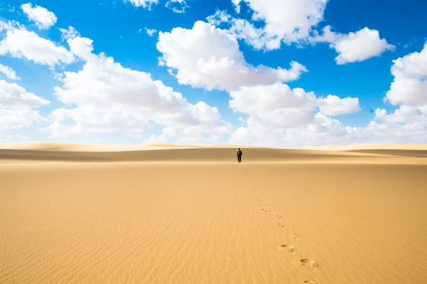 Öken i Egypten — Stockfoto