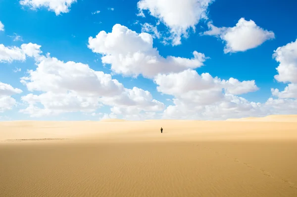 Öken i Egypten — Stockfoto