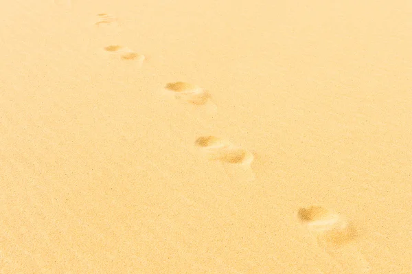 Desierto en Egipto — Foto de Stock