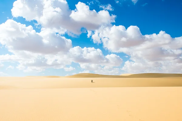 Desert in Egypt — Stock Photo, Image