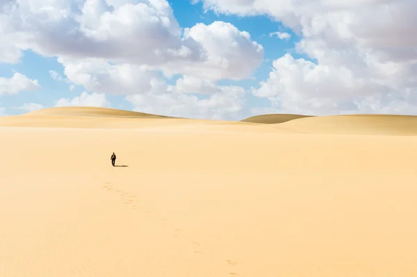 Öken i Egypten — Stockfoto