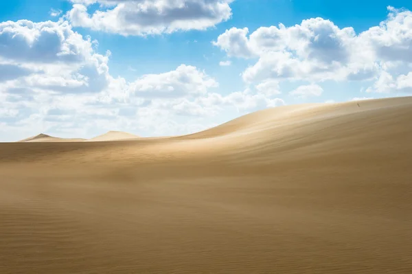 Desert in Egypt — Stock Photo, Image